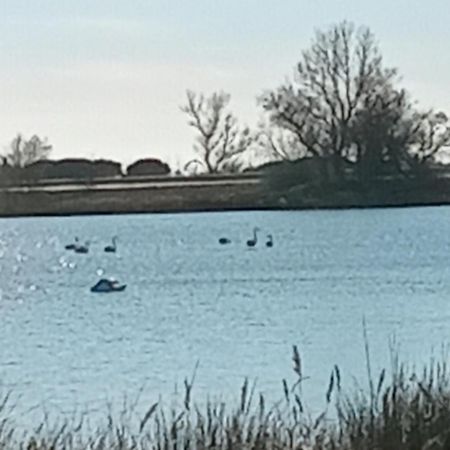 Aigues Mortes Studio De Vacances En Camargue Экстерьер фото