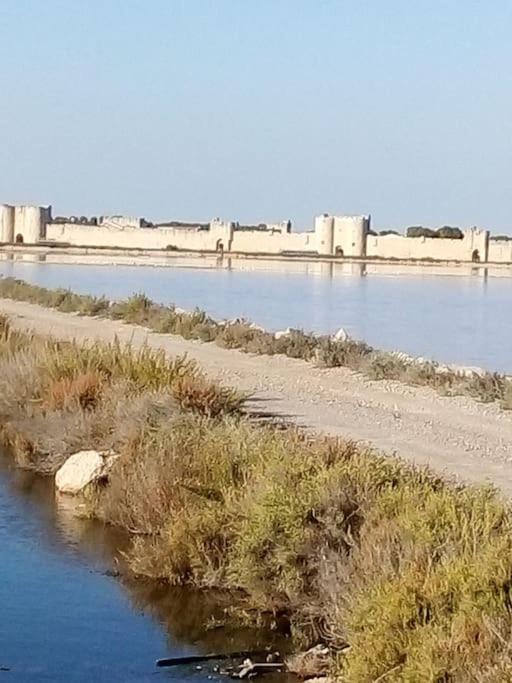 Aigues Mortes Studio De Vacances En Camargue Экстерьер фото