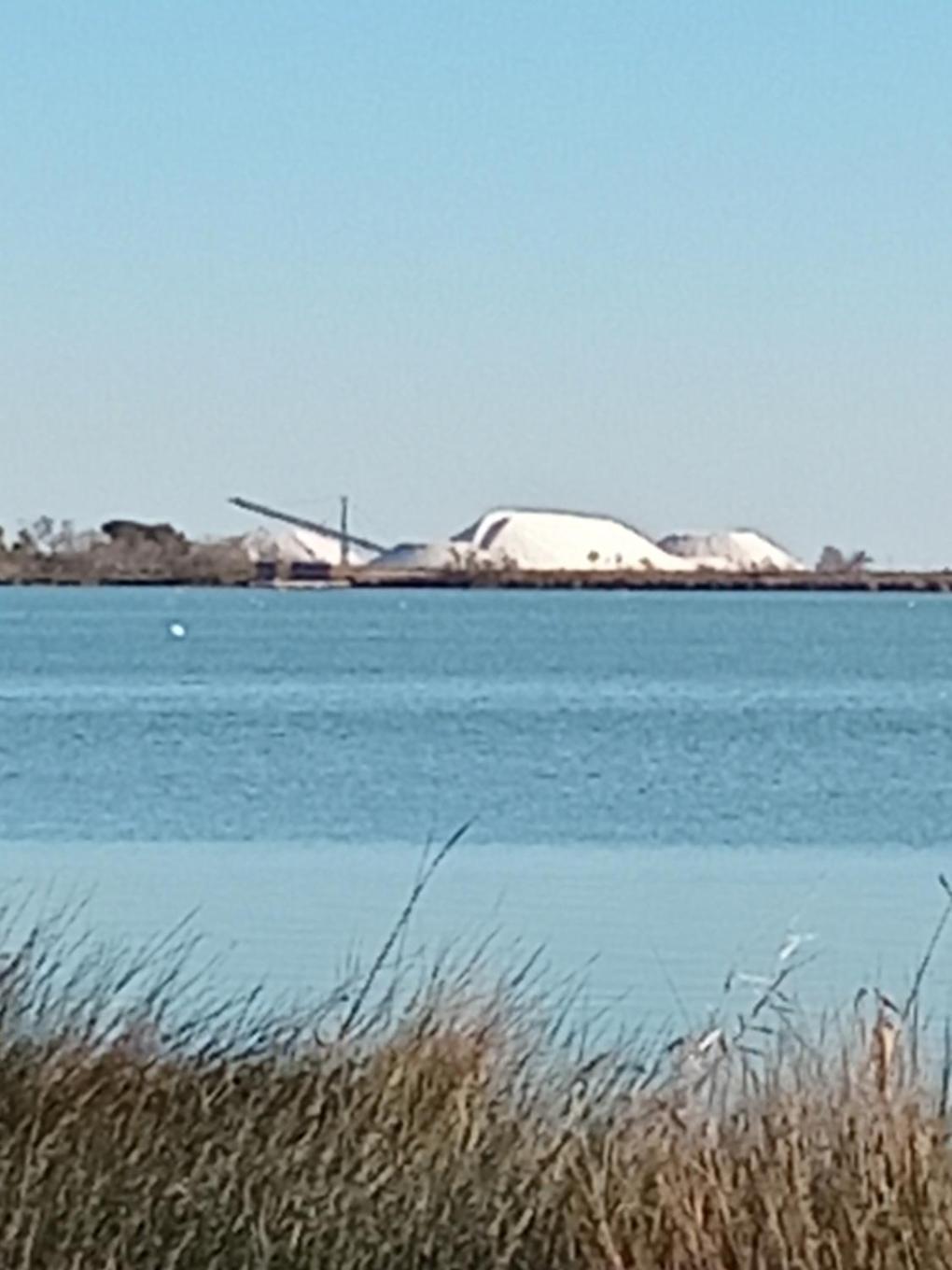 Aigues Mortes Studio De Vacances En Camargue Экстерьер фото
