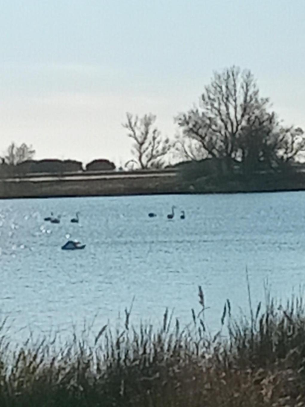 Aigues Mortes Studio De Vacances En Camargue Экстерьер фото